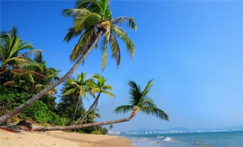 莫夫子化州糖水