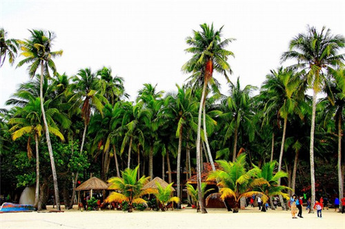 鱼太吉小份烤鱼