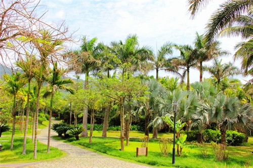 车奇士汽车美容