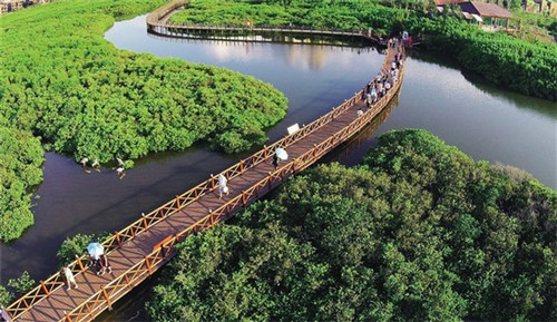 门司咖喱加盟费要多少，宁波门司咖餐饮品牌管理有限公司