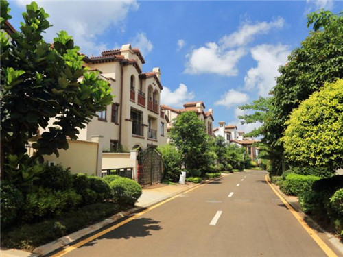 塑料杯品牌加盟费用多少钱