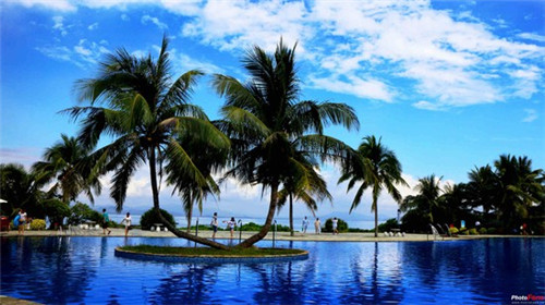 雪莉酒顶级品牌（雪莉酒属于什么酒）