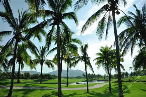 跑步App排行榜（跑步APP排行榜前十名最新版介绍）