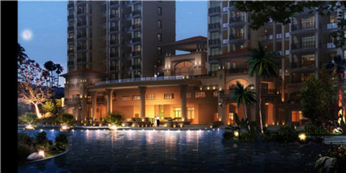 藏排通便贴（通便贴多少钱一盒）