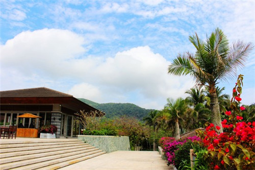 鸡蛋炒小瓜花可以吃吗有毒吗（小瓜炒鸡蛋的做法视频）