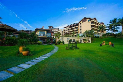 郑食美食（美食郑州）