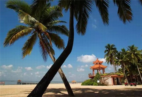 民乐县电线管加盟什么店赚钱小县城